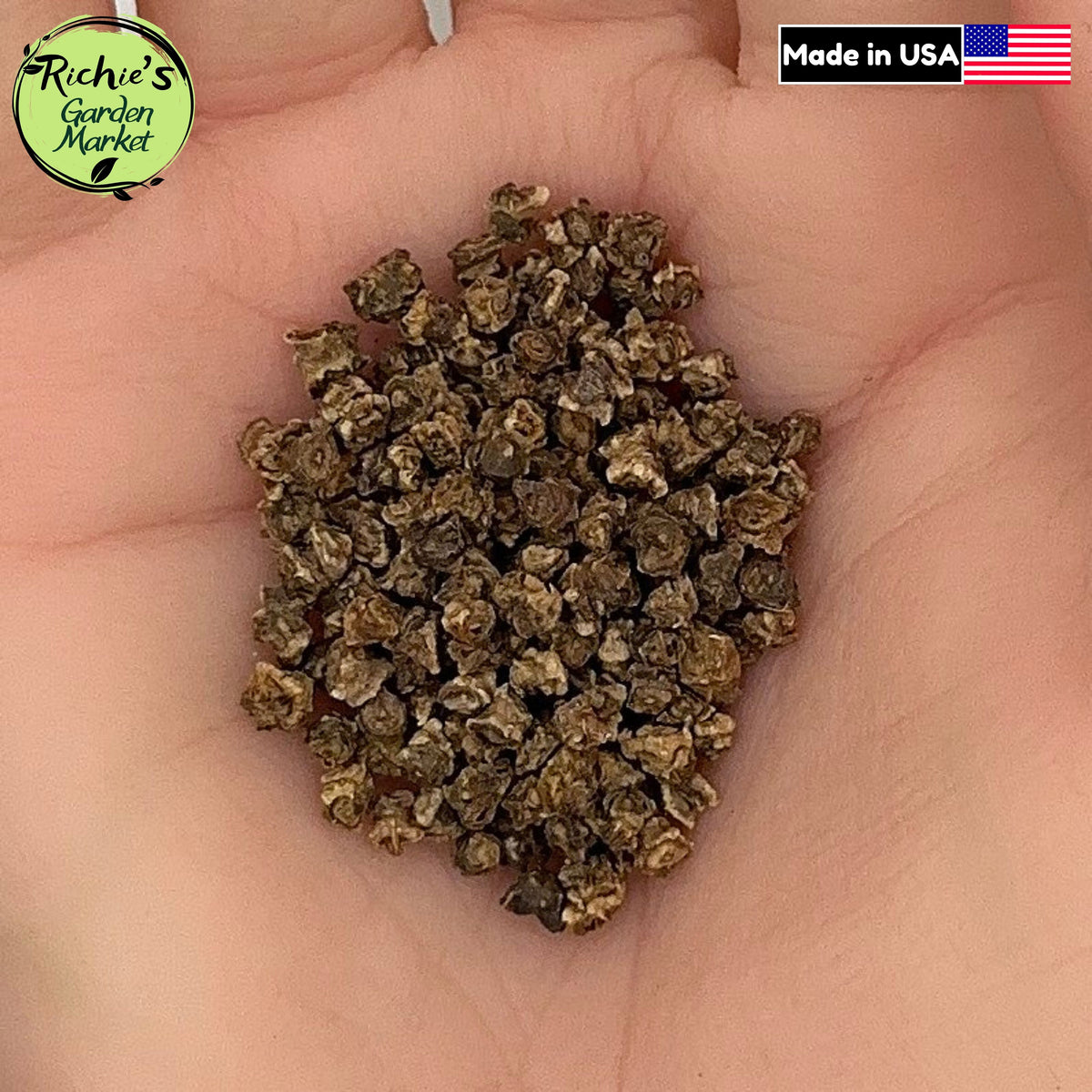 Detroit Dark Red Beet Seeds – Non-GMO, Sweet & Nutritious