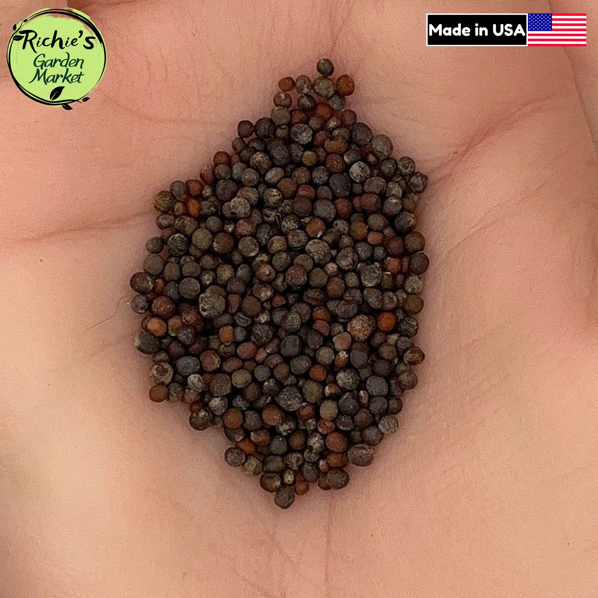 Waltham 29 Broccoli Seeds – Non-GMO, High Yield