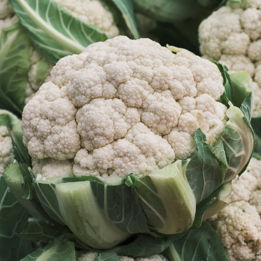 Cauliflower Snowball Seeds, Heirloom, Mild Flavor, Garden Favorite, High Yield, Non-GMO, Fast Growing, Easy to Grow for Planting Indoor & Outdoor Gardening
