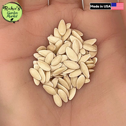 Marketer Cucumber Seeds – Non-GMO, High Yield & Disease Resistant