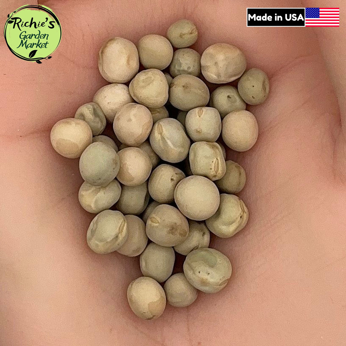 Oregon Sugar Pod Snow Pea Seeds – Non-GMO, Crisp Edible Pods