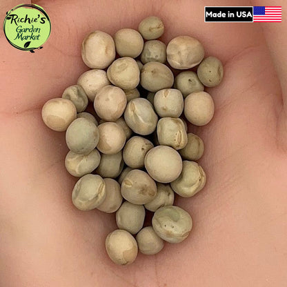 Oregon Sugar Pod Snow Pea Seeds – Non-GMO, Crisp Edible Pods