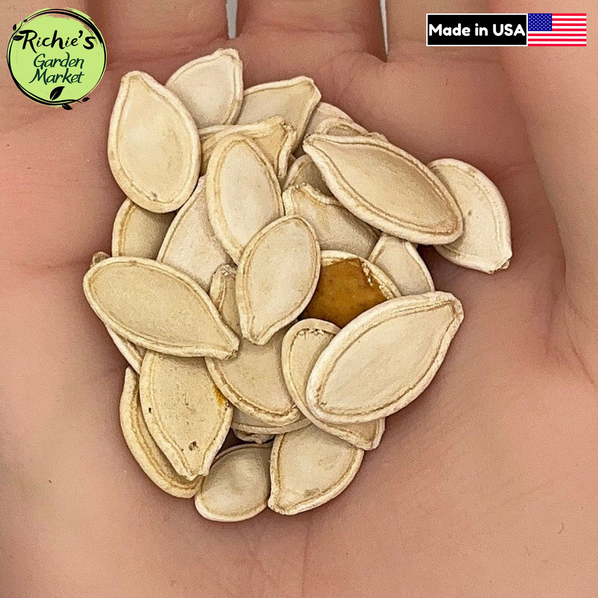 Connecticut Field Pumpkin Seeds – Non-GMO, Classic Variety