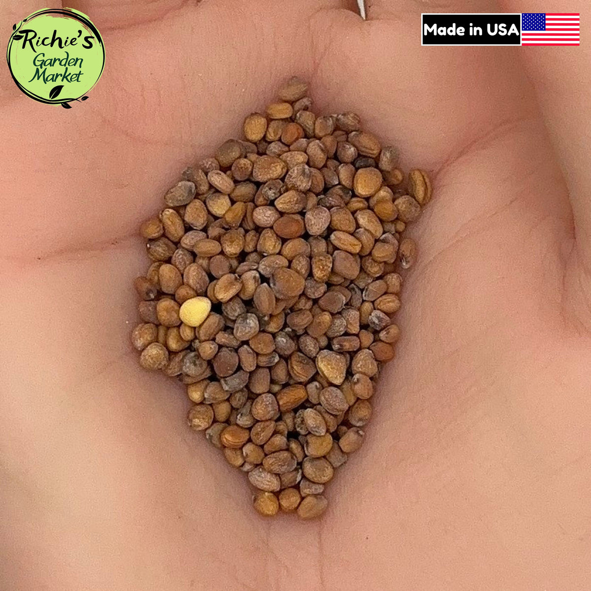 Cherry Belle Radish Seeds – Non-GMO, Crisp & Fast Growing