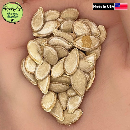 Butternut Squash Seeds – Non-GMO, Sweet & Nutty