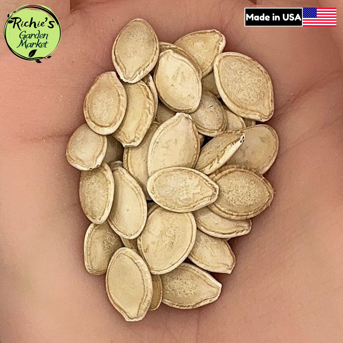 Dark Green Zucchini Seeds – Non-GMO, High Yield